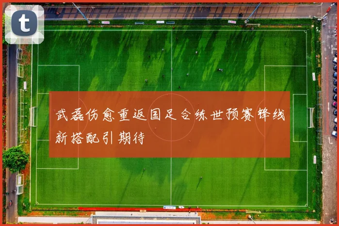 武磊伤愈重返国足合练世预赛锋线新搭配引期待