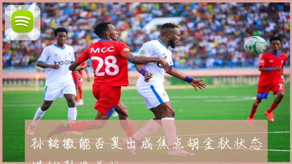 孙铭徽能否复出成焦点胡金秋状态堪忧引发关注