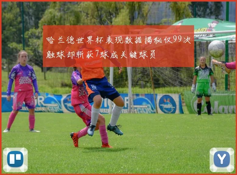 哈兰德世界杯表现数据揭秘仅99次触球却斩获7球成关键球员
