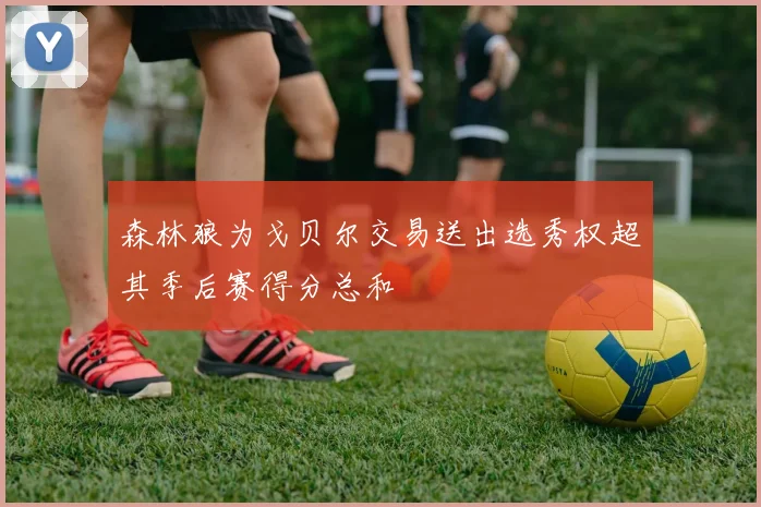 森林狼为戈贝尔交易送出选秀权超其季后赛得分总和