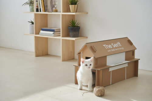 Une maison à chat en carton : réutiliser son packaging